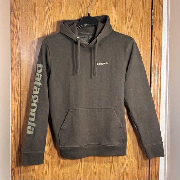 Patagonia Other - Patagonia Graphic Hoodie